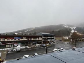 Studio 4 pers au pied des pistes avec WIFI - FR-1-814-37